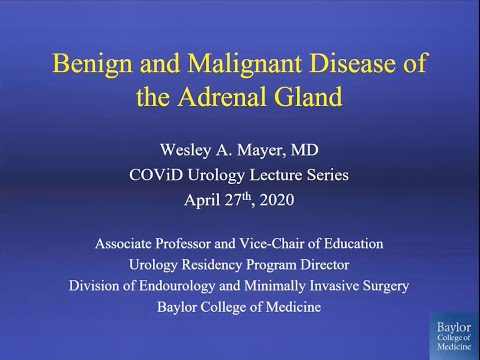 4.27.2020 Urology COViD Didactics - Benign and Malignant Diseases of the Adrenal Gland