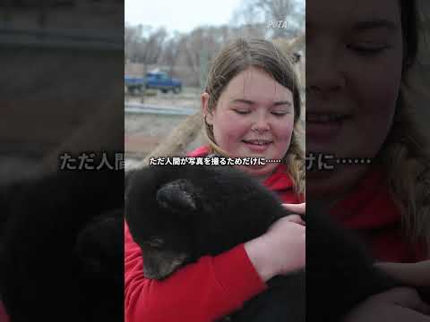 モーブージュ動物園 - 定義