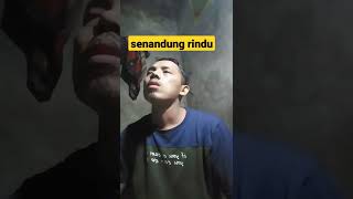 Download lagu 🔴senandung rindu#shorts mp3