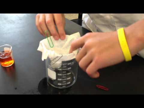 download lagu mp3 mp4 Can You Extract Dna From Ashes, download lagu Can You Extract Dna From Ashes gratis, unduh video klip Can You Extract Dna From Ashes