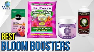 10 Best Bloom Boosters 2017