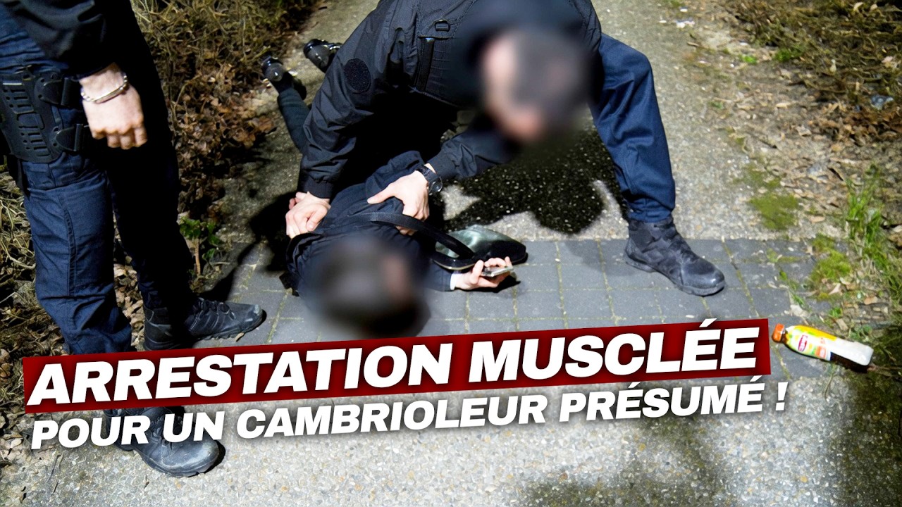 Illustration: Essonne : un barman récidiviste condamné à 8 mois ferme pour alcool au volant