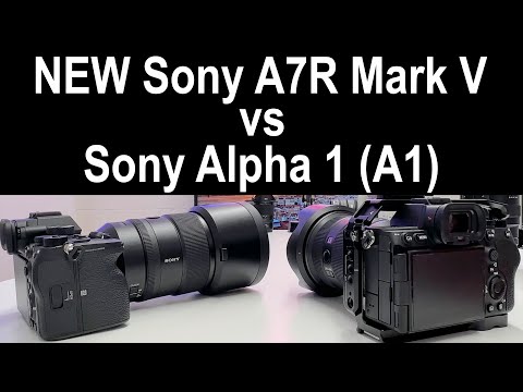 Laidinės žaidimų ausinės Sony INZONE H3, baltos video