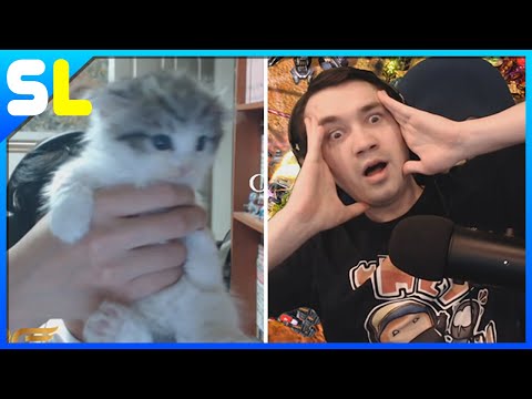 PartinG's New Zergling & Winter + Lowko Have "The Talk" - SC2 Best/Funny Moments