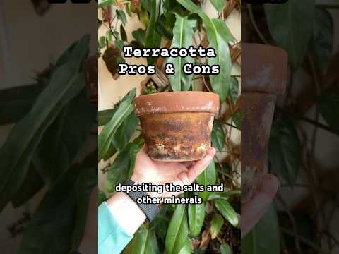 Terracotta Bowl Large