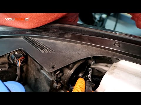 2019-Present Kia Forte Low Beam Light Replacement