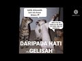 Kami Datang Lagi