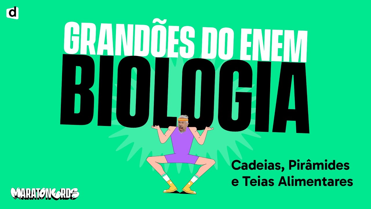 Cadeias, Teias e Pirâmides Alimentares | Ecologia