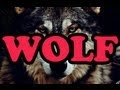 Tyler The Creator Wolf Full Album