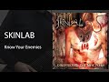 SKINLAB - Know Your Enemies (instrumental/guitar playthrough)