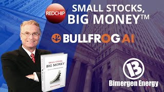 RedChip Highlights Bullfrog AI (NASDAQ: BFRG) & Bimergen Energy (OTCQB: BESS)