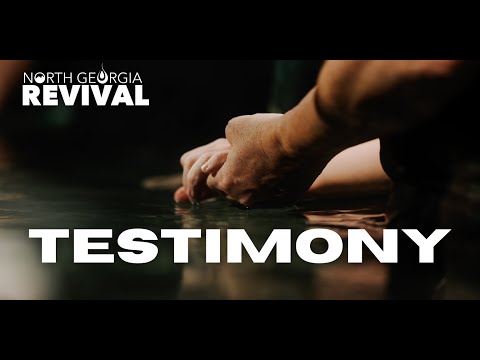 Witness21 Editor  2024 11 13