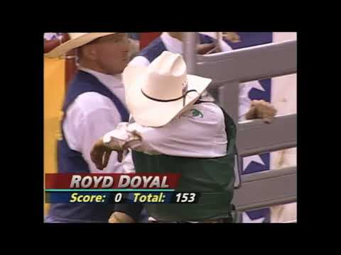 Achey Breaky bucks Royd Doyal - 95 PBR Nashville