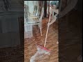 CHALLENGE TRANSFORM YOUR HOME IN 30 DAYS 16 30 Wash The Floor Housewife Cleaning Cleaning D