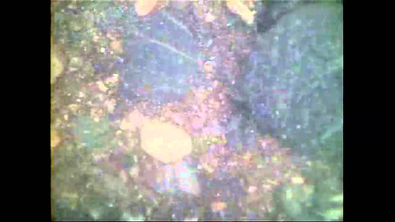 NASA's Mars Curiosity Rover Report #8