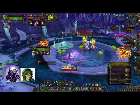 WoW Hunter Solo High Botanist Tel'arn
