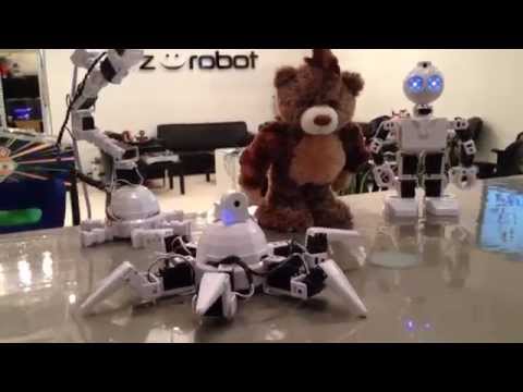 DJ's Six Hexapod Demo Dance