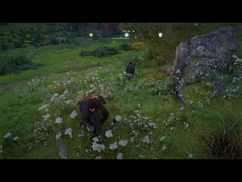 Assassin's Creed Valhalla 227 - boski cud narodzin, maska, docieramy do Glowcester