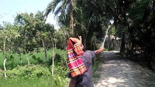 preview picture of video 'বটিয়াঘাটা টু হাটবাটির বান্দর ক্লাব ফানি'