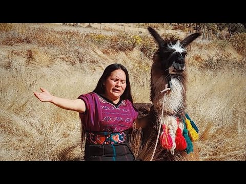 😭🎙🕊Sulamita Leiva 🕊🔥🎙🙏La gloria de Jehová Cayó en Sinai