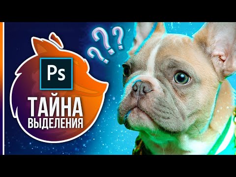 Курс Фотошоп с Нуля 1 Создание документа Основы интерфейса Навигация