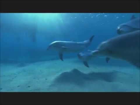 Ørjan Nilsen feat. Arielle Maren - Redemption