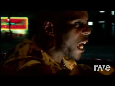 Gon To The Give By Andreas Jamsheree - Dmx & Alrota Music | RaveDJ