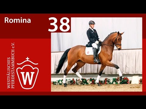 38 Romina Stute v. Rocky Lee - Sir Schölling