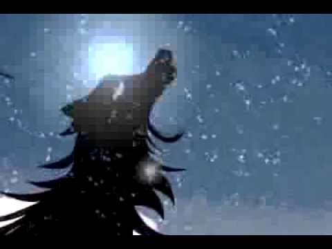 La Llamada de la Selva Video