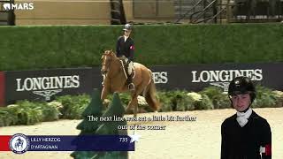 D&#39;artagnan ridden by Lily Herzog | 2024 WIHS Grand Champion Pony Hunter