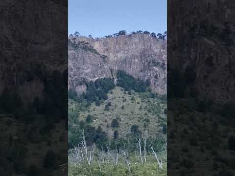 Ruta 11 Neuquén.  (Moquehue - Aluminé )