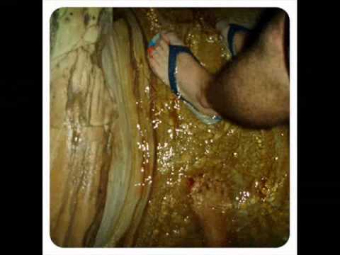 Chá de Cogumelos - Ventania