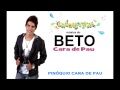 Musica Do Beto-Cara De Pau (Youtube-Gabriel Santana)
