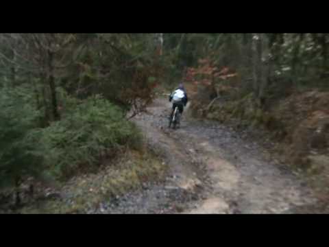 Downhill Tylmanowa (Makowica)