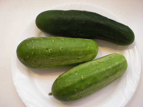 Cucumbers 101 - Nutrition and Health Benefits