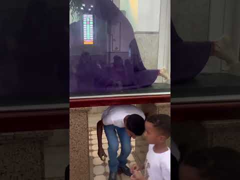 Imagem de Jesus na basílica se São Francisco em Canindé #romeiros #sãofranciscodeassis