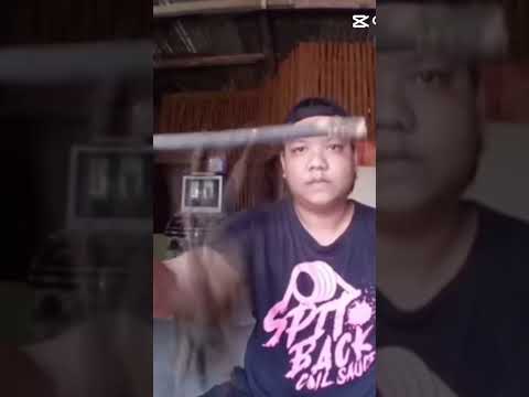 Huntsman Spider vs Gagambang Hari #gagambafight