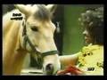 Ethiopian Music by Chachi -Smile Ethiopia (English, Reggae)