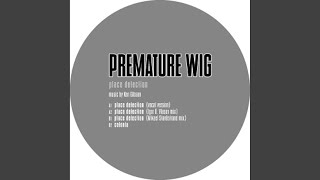 Place Detection (Igor O. Vlasov Remix)