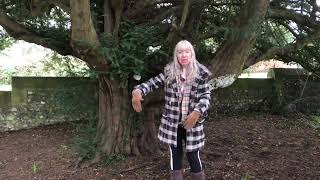 The Yew Tree. The unknown history and association with the Underworld