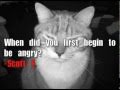 Ask Mylo