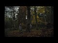 Movie Clip Gretel Hansel 2020 Full HD 1