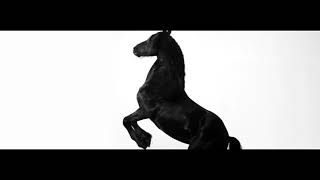 Enzo - Dj Snake, Offset, Sheck Wes, 21 Savage, Gucci Mane ( Official Music Video )