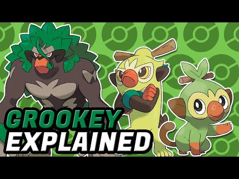 GROOKEY, POKEMON EXPLAINED! Grass Pokemon, Starter Pokemon, Pokemon Grookey