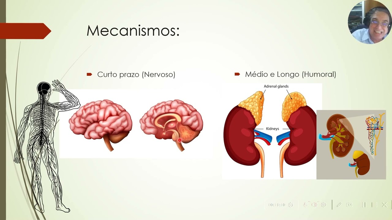 "Fisiologia da Regulação da Pressão Arterial" - Vídeo Aula 17