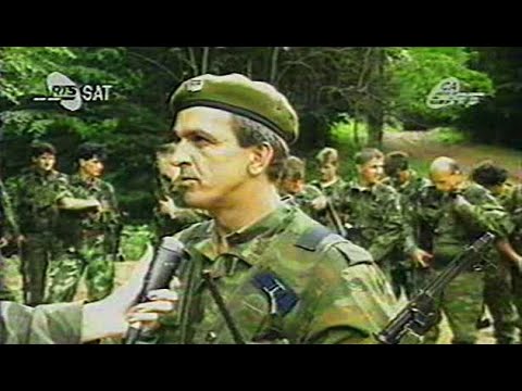 Кота Бандијерка - Шековићи