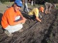 Graton Community Garden Mov
