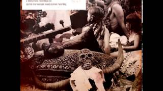 The Influenza Phenomenon - Thyrd Mynd Alterations