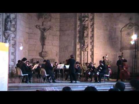 Pizzicato Polka (Strauss, Johann) HD