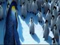 Happy Feet Gloria HeartSong SWEDiSH